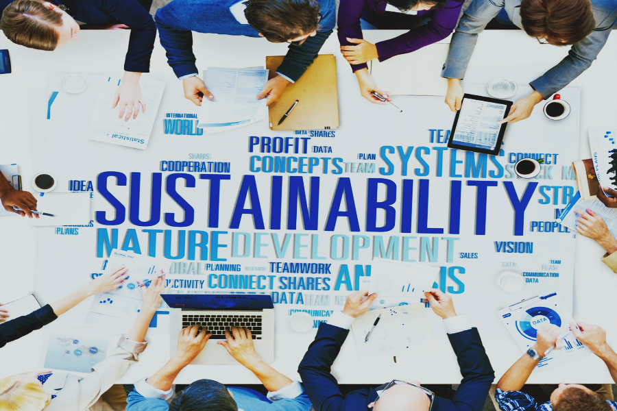 Sustainable Business Strategy