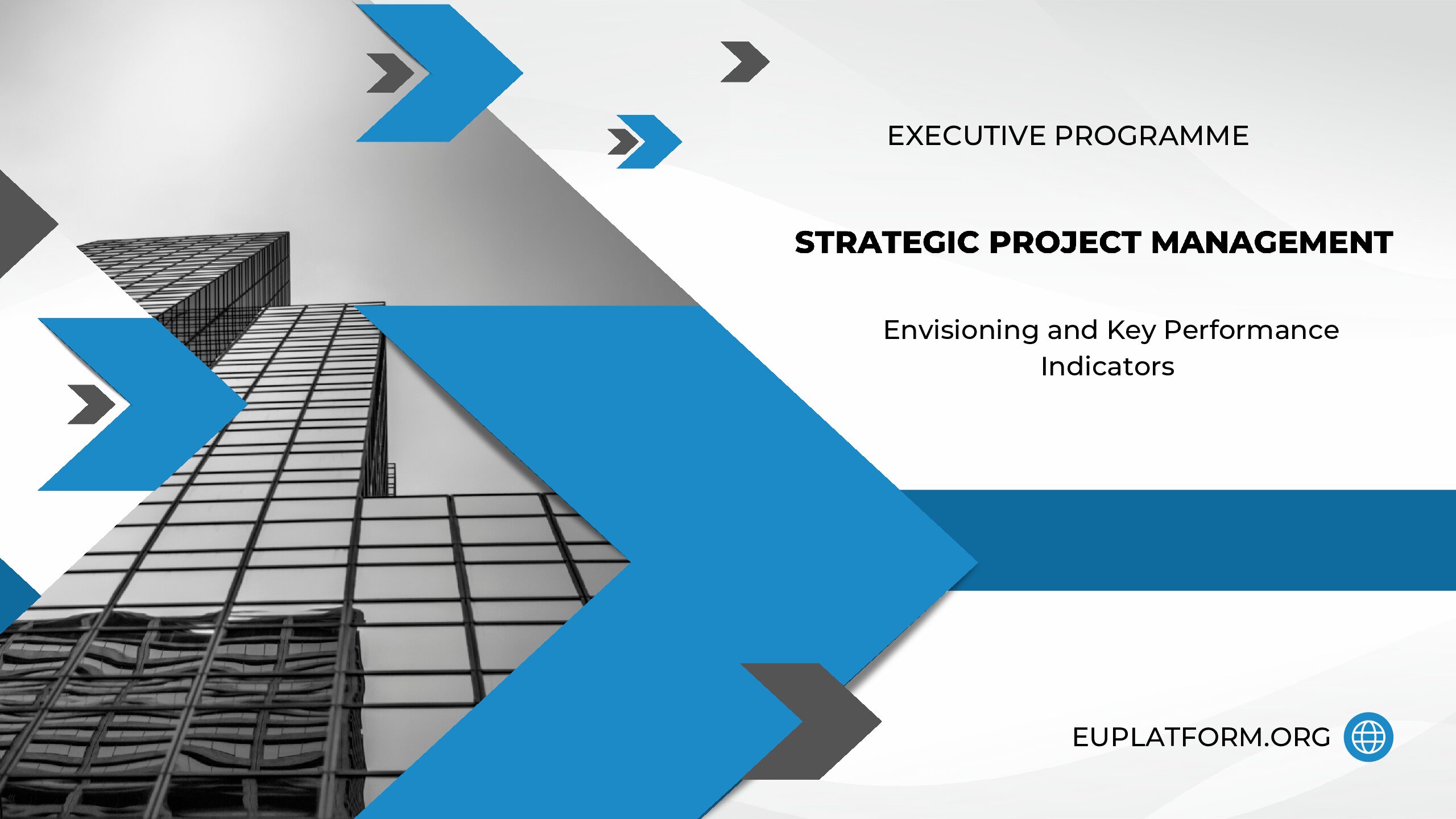 Strategic Project Management Executive Programme (Envision and KPI’s)
